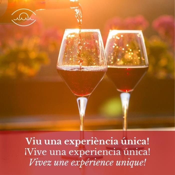 Fantásticas villas frente al mar con degustación de Vinos.