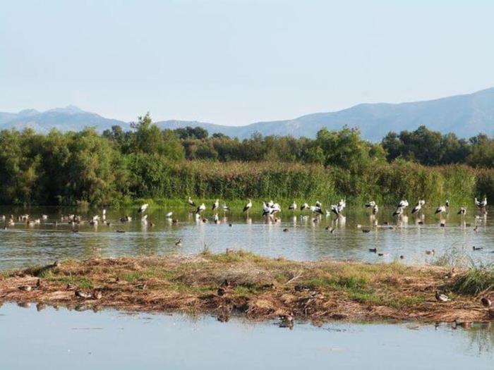 Explorando la Belleza Natural: Una Visita Inolvidable a los Aiguamolls de l’Empordà cerca de Roses